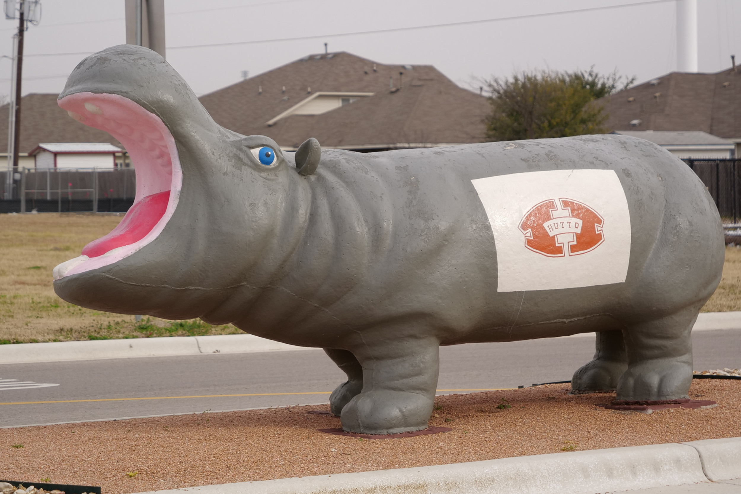 Photo of a grey painted hippo with the Hutto Hippo logo painted on its side on a white background.