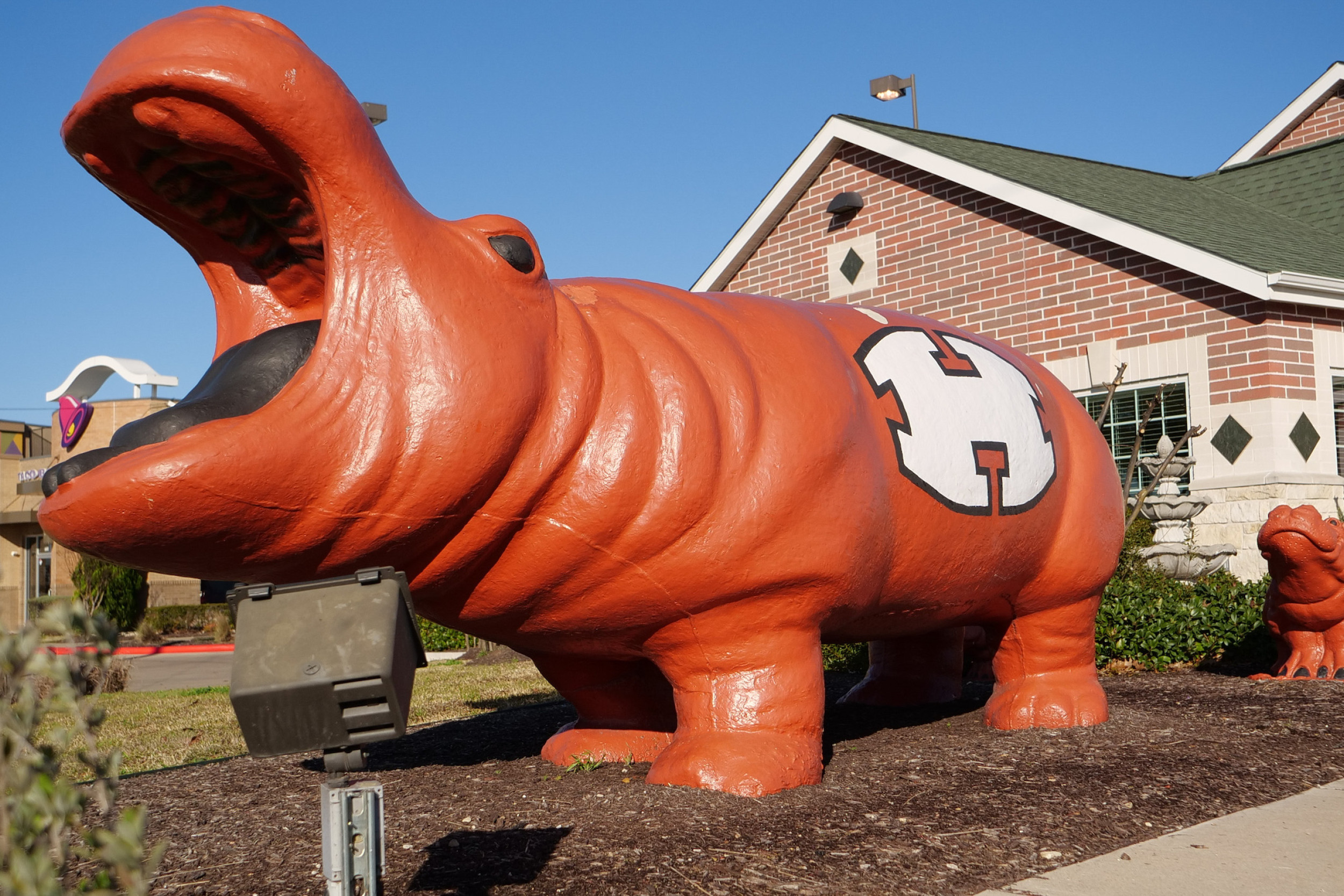 Photo of an orange hippo with the Hutto Hippo logo painted on its side.