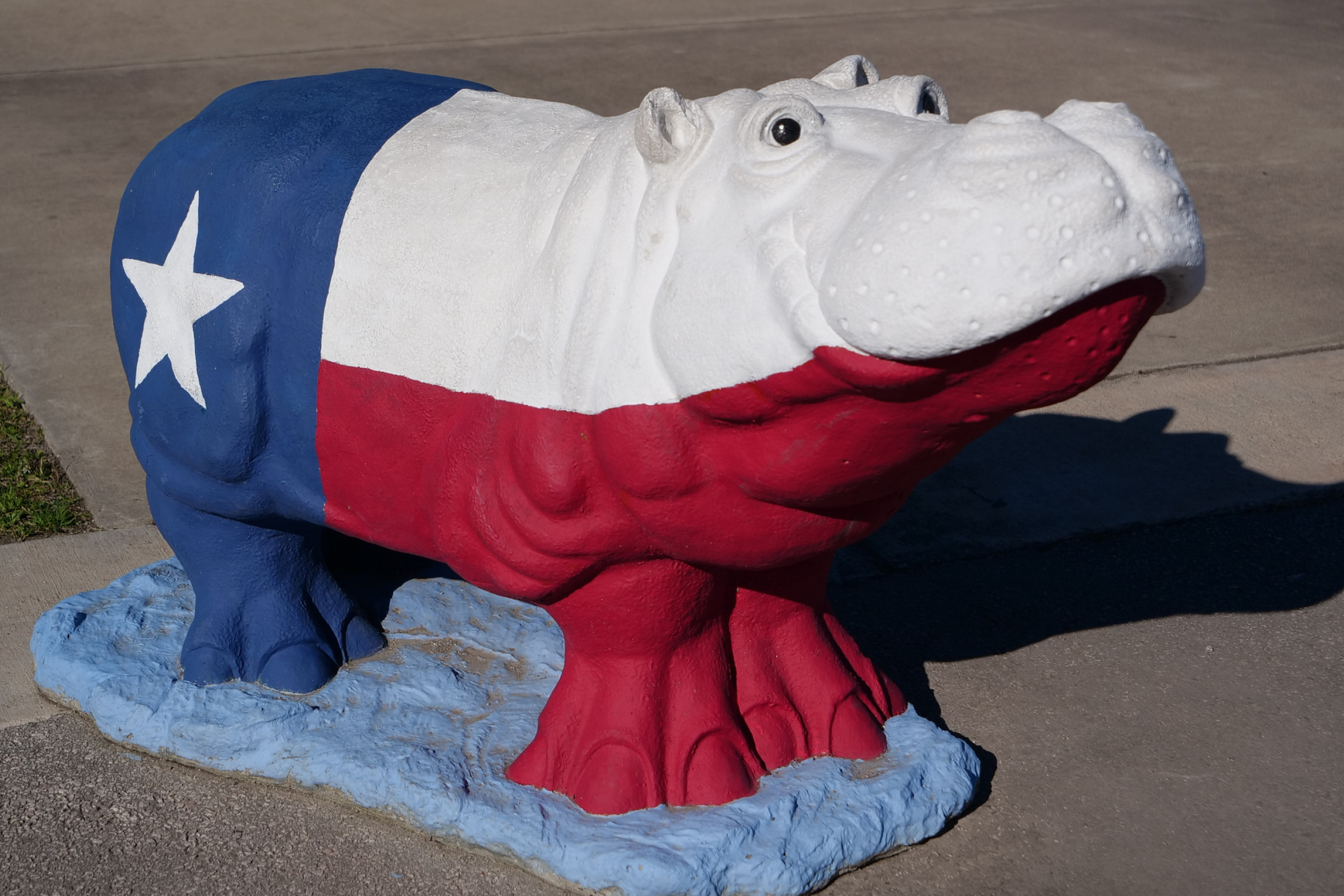 Photo of a concrete hippo painted like the Texas flag.